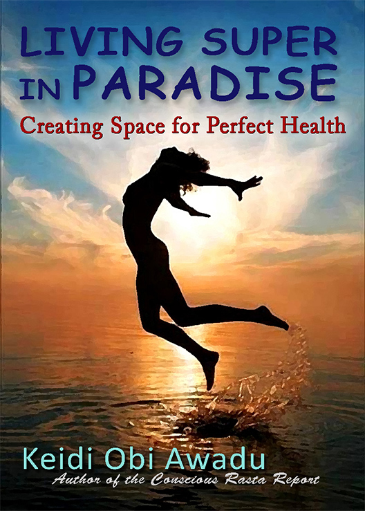 Living Super In Paradise Book